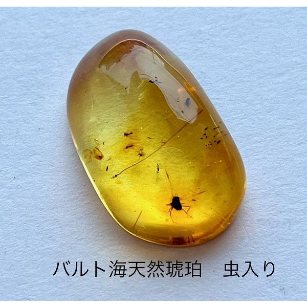 天然琥珀 虫入り琥珀 こはくルース インセクトアンバー パワーストーン