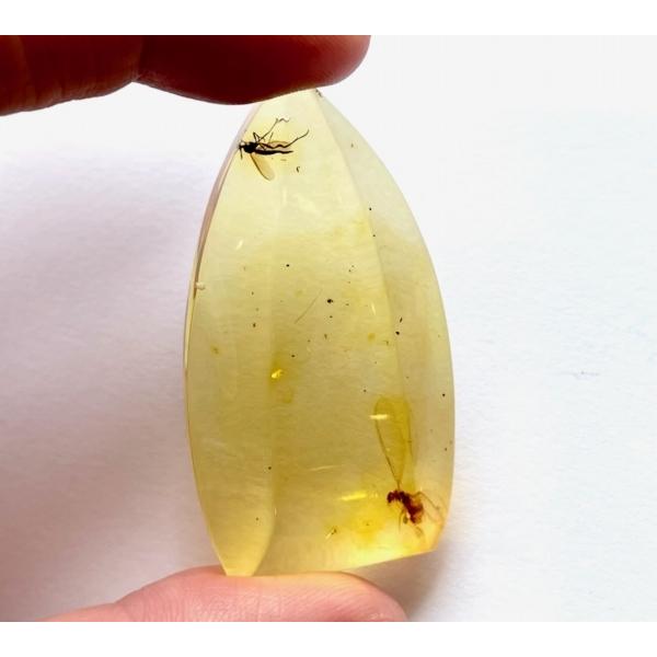 天然琥珀 虫入り琥珀 ルース バルト海産高級天然琥珀 大きな虫入り