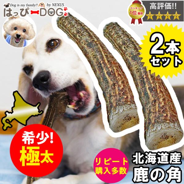 はっぴーDOG 【お買い得2本セット】鹿の角 鹿 角 XLサイズ 大型犬