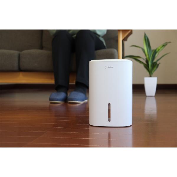 ドリテック コンパクト除湿器 ロワン ホワイト JY-102 WT dretec