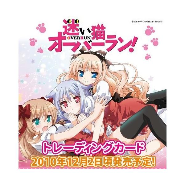 ヴィクトリースパーク 迷い猫オーバーラン メイド服の文乃 サイン