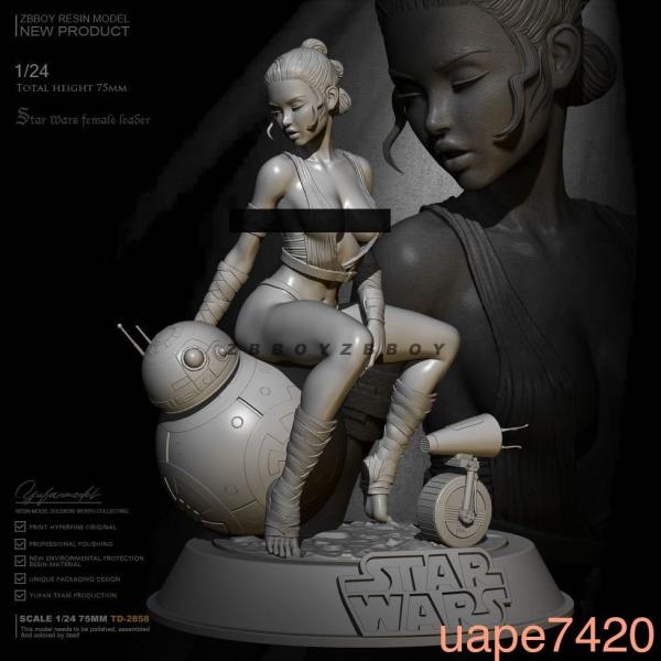 ガレージキット フィギュア スターウォーズ 約75mm 1/24スケール 未