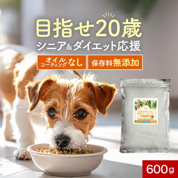 ペットサプリもぐもぐ ドッグフード 無添加 シニア 低脂肪 お試し 600g