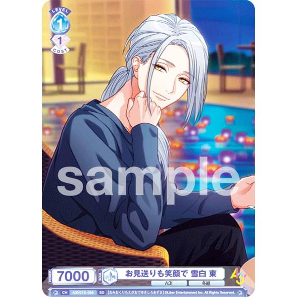 lead-netstore_a301s192211tt066