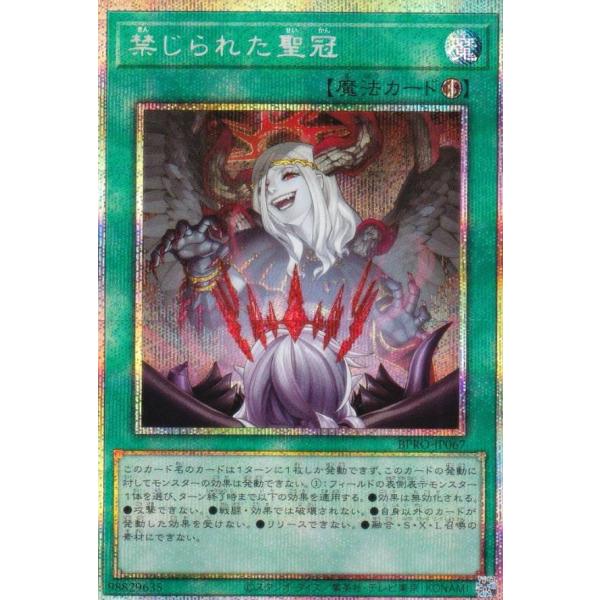 lead-netstore_bpro252510ttz067