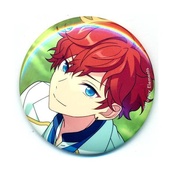 天城一彩 あんスタ FLARE 9周年 缶バッジ 10個 ES 9th Anniversary