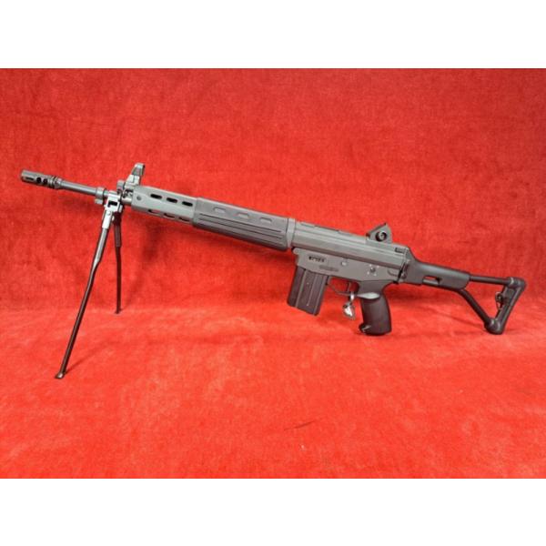 mokei-paddock_100645