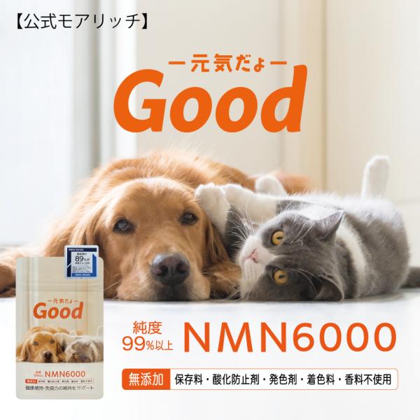 MORE RICH（モアリッチ） 【公式】動物病院取扱 NMN 6000mg Good
