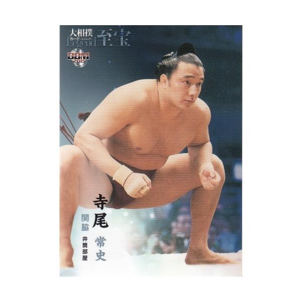 BBM 2015 大相撲 至宝 寺尾常史 直筆サインカード /90 BBM 2015 大相撲