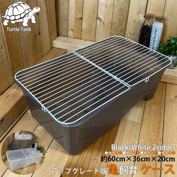 亀飼育ケース (中) タートルタブ 排水口付き タートルタンク 蓋付き 亀