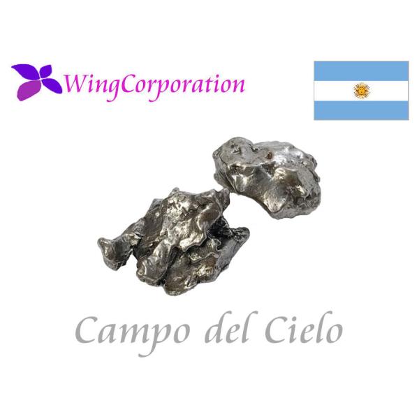 鉄質隕石】 カンポデルシエロ 約2.7g＋2.5g アイアンメテオライト 2個