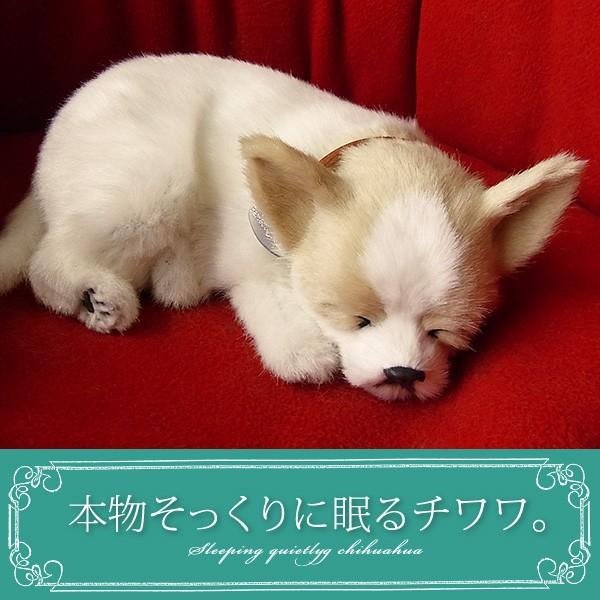 ニニアンドキノ パーフェクトペット (小サイズ) チワワ スムース