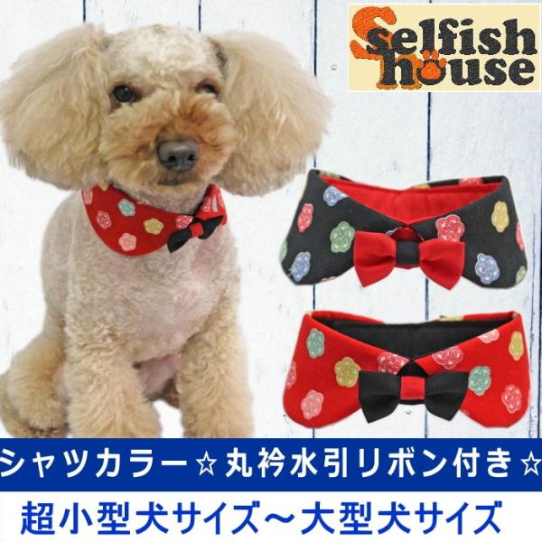 犬服・アクセサリー AY61 犬服・アクセサリー AY61 犬服・アクセサリー