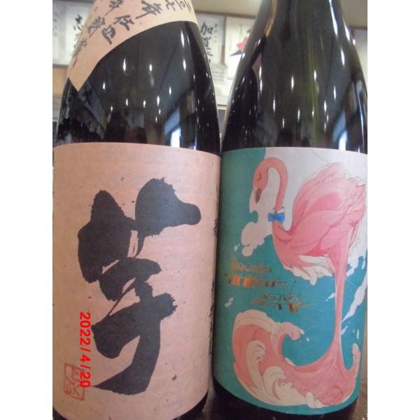 国分酒造 芋焼酎 いも麹芋3年貯蔵・フラミンゴオレンジ 1800ml 2本