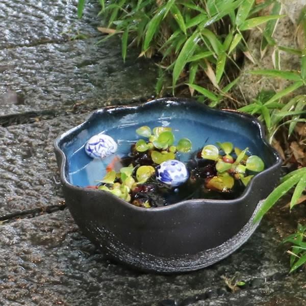 信楽焼 睡蓮鉢 メダカ鉢 おしゃれ めだか鉢 陶器 水鉢 ビオトープ