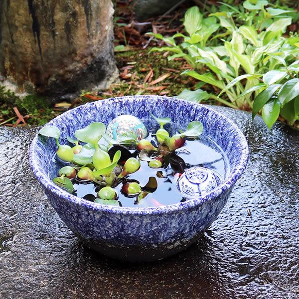 骨董 火鉢 染め付け モダン レトロ花 メダカ 睡蓮鉢 金魚 テーブル