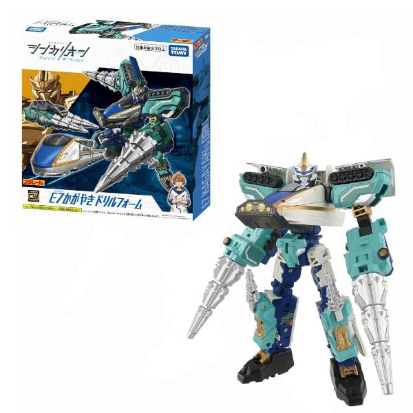 ニッポンダカラ タカラガイ F+++ ニッポンダカラ : 貝殻ストア - 通販