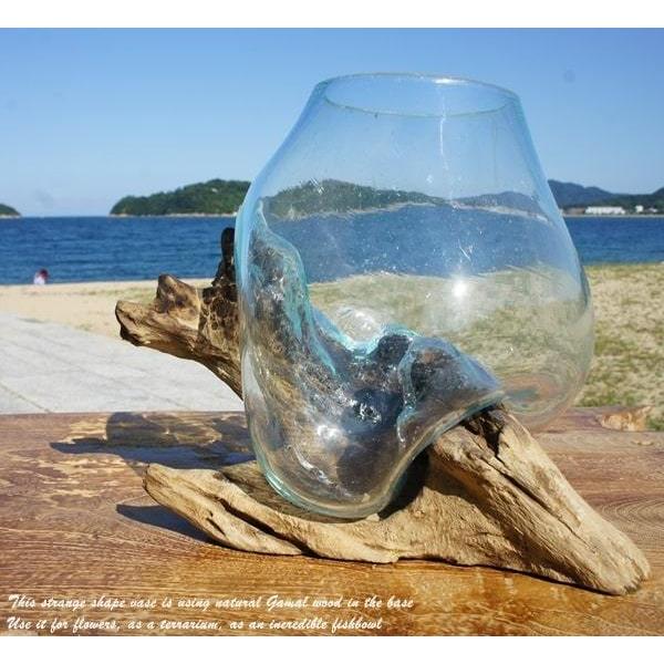 吹きガラスと天然木のオブジェ S20 金魚鉢 メダカ水槽 花瓶 流木ガラス