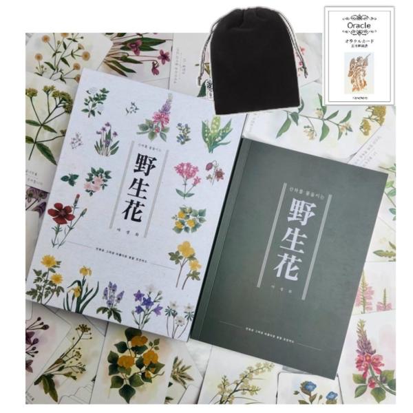 韓国オラクルカード 商品の日本語解説QRコード付 野生花 オラクル