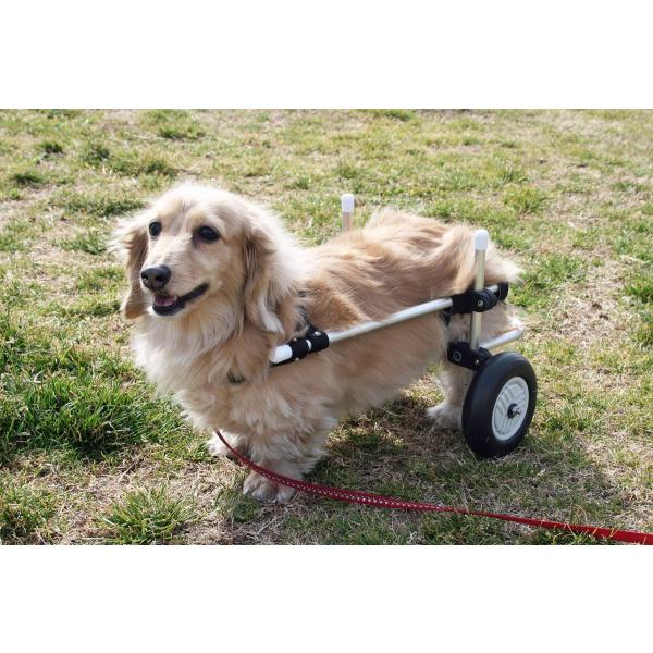 小型犬用 車イス (超小型1.2kg～2.0kg位まで) ティーカップ 【公式通販】