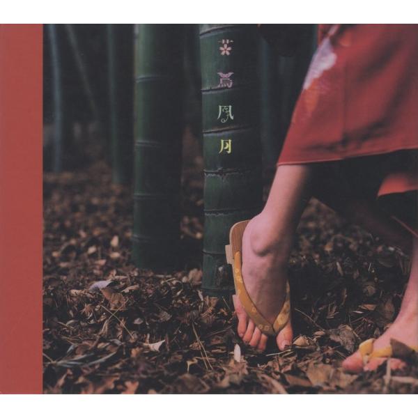 windcolor-y-shopping_d16-poch-1776