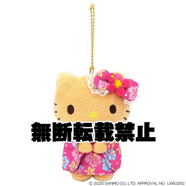 ハローキティ ぬいぐるみ エアロビ 日焼け サンリオ マスコット kitty