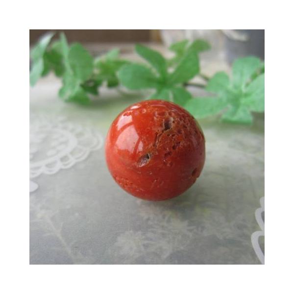 高知産赤珊瑚【大玉】す玉パーツ /25.5ミリ/穴なし /手芸/オリジナル