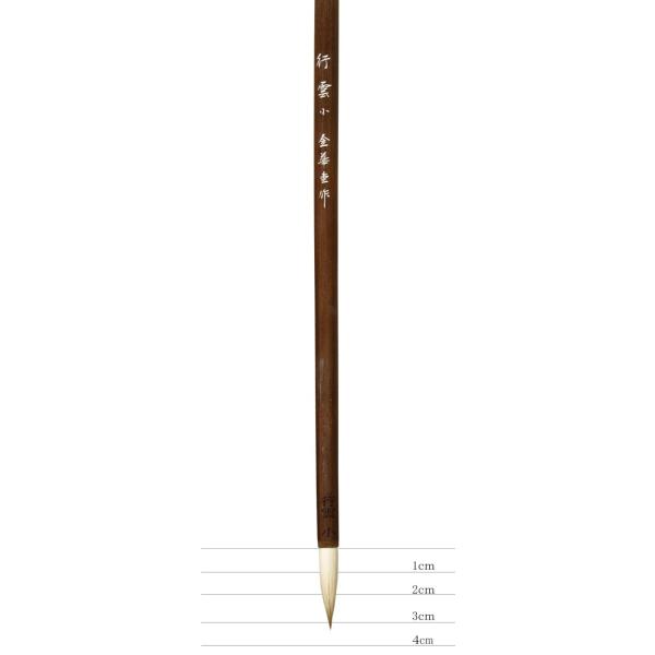 武田雲室筆 紙本肉筆【 秋山水 淡彩水墨画 】 自題共箱 タトウ箱付