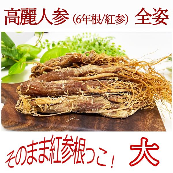 6年根紅参 姿 (大)245g (約7本) 高麗人参 オタネニンジン 薬膳酒 高麗