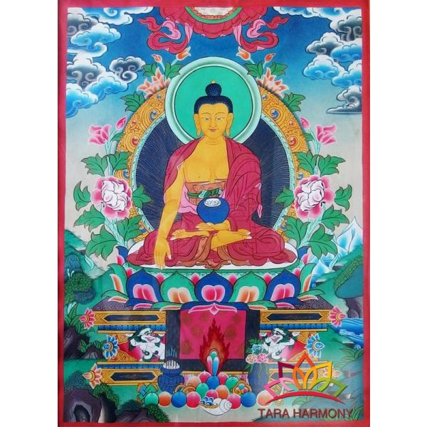 tara-harmony_tk12006