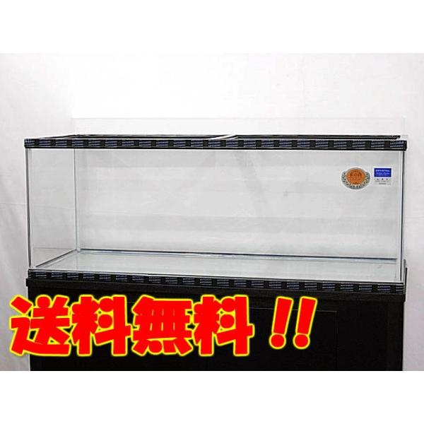 tropicalworld_ktks1818