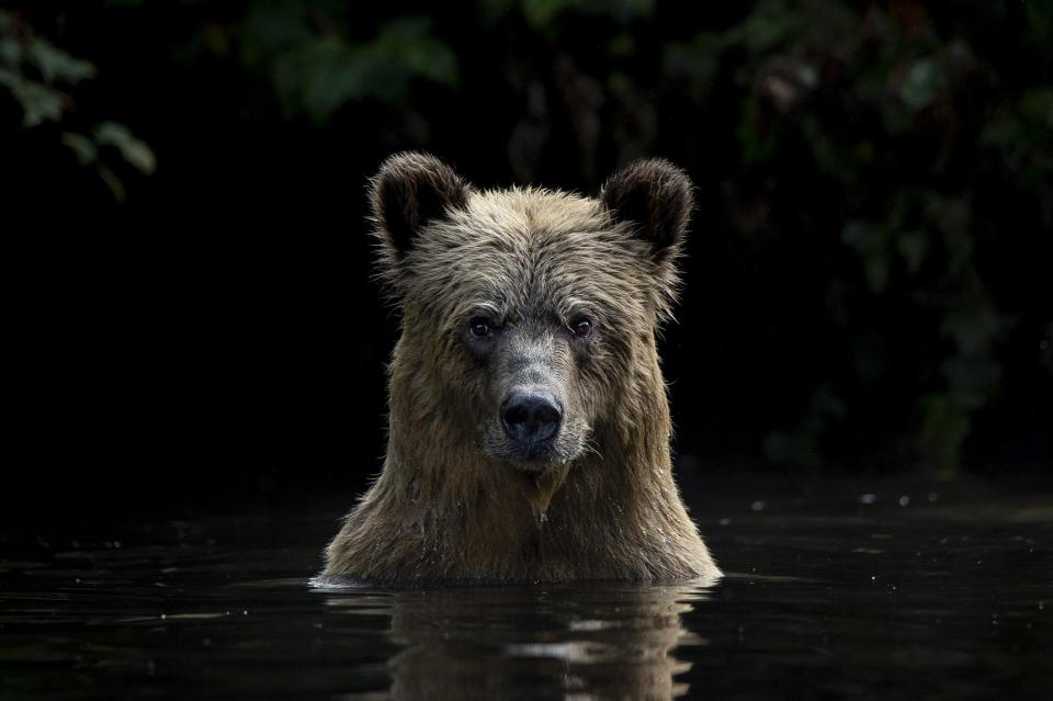 高砂淳二写真展 －この惑星(ほし)の声を聴く－【美術館「えき」KYOTO