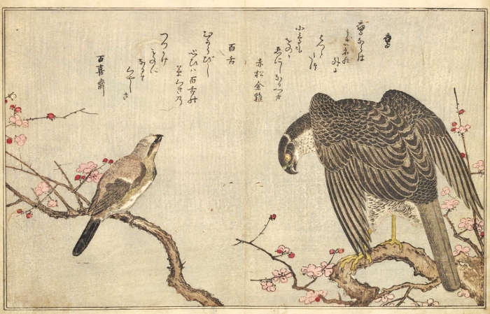 喜多川歌麿 絵本百千鳥 手摺り木版画 全15枚 版画 喜多川歌麿絵本百千