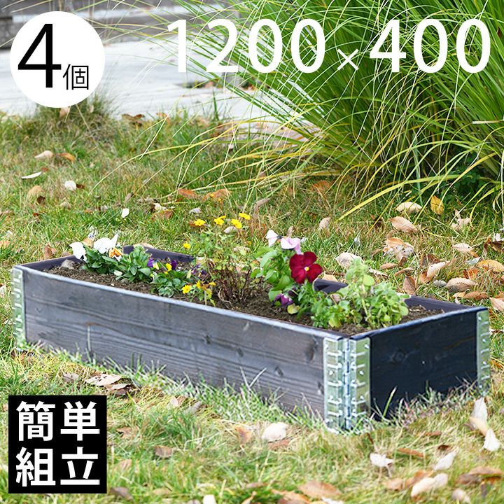 クライナー 10箱（200個） クライナー 10箱（200本） 楽天市場