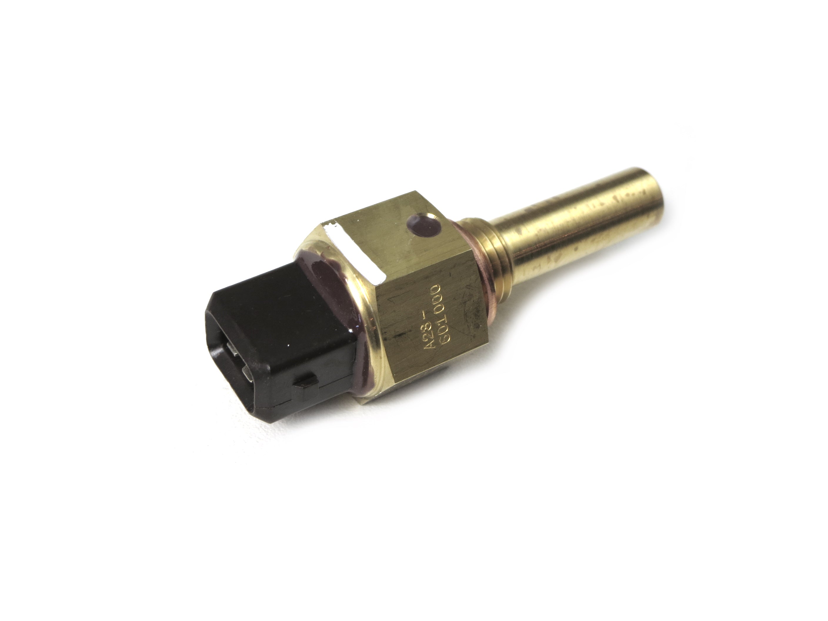 12-J81193.jpg?v=1628636103&