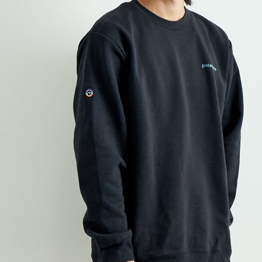 patagonia [パタゴニア] フィッツロイ アイコン アップライザル クルー