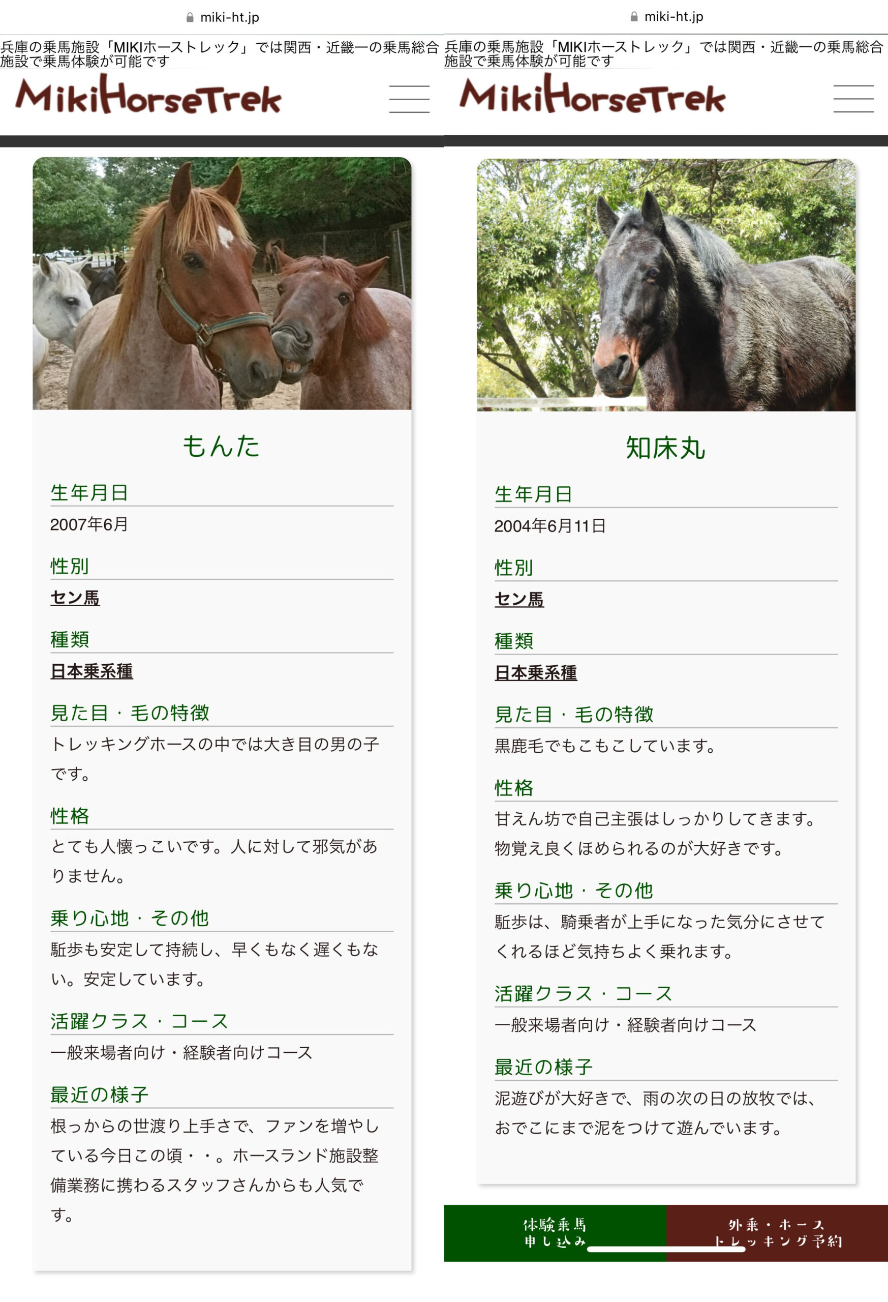 生まれて初めてお馬さんに乗ってきたよ〈三木ホーストレック〉〔兵庫県