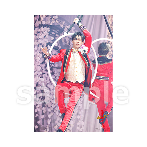 SnowMan 目黒蓮 ステフォ公式写真セット SnowMan 目黒蓮 ステフォ公式