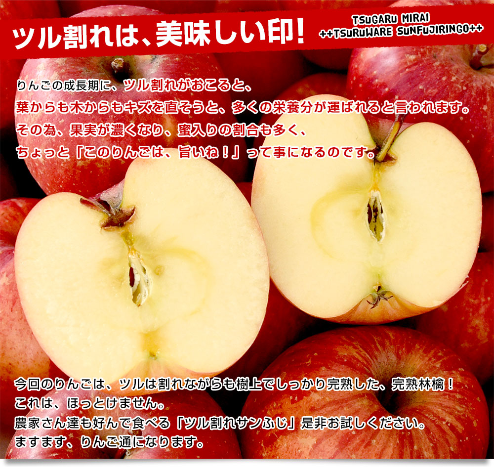 青森県産 JA津軽みらい ツル割れ・サンふじ 10キロ（32玉から50玉前後