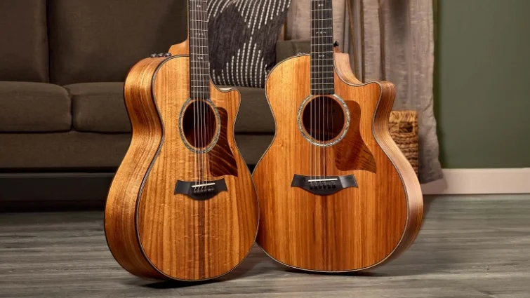 700 Series アコースティックギター | Taylor Guitars