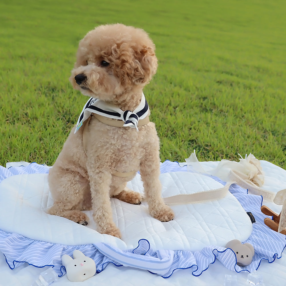 コースター、カフェマット｜HARRYSPET（ハリースペット）公式通販