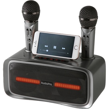 ST-2028 ワイヤレスマイクスピーカー マイク2本付き 1台 とうしょう