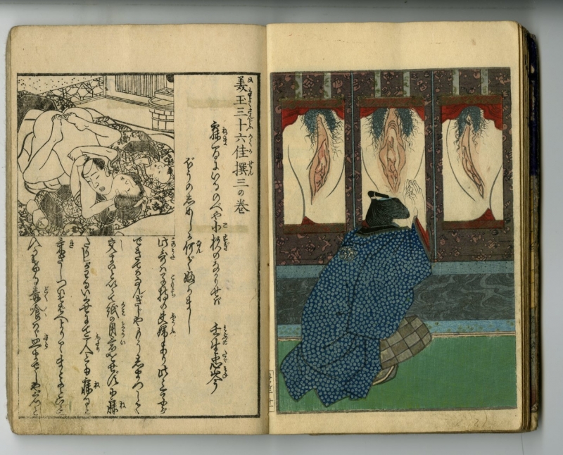 恋川笑山(こいかわしょうざん) - 美玉三十六佳撰三編 花の巻 - 春画