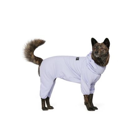 SHOP - COOL - SSOOOK