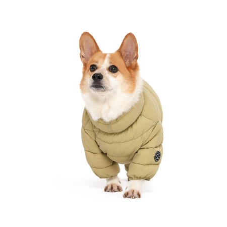 SHOP - WEAR - SSOOOK