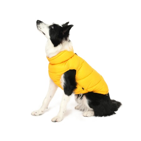 SHOP - WEAR - SSOOOK