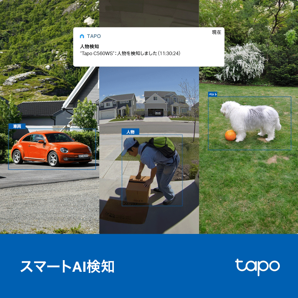 Tapo 4K 8MP 屋外防犯カメラ パンチルト Tapo C560WS