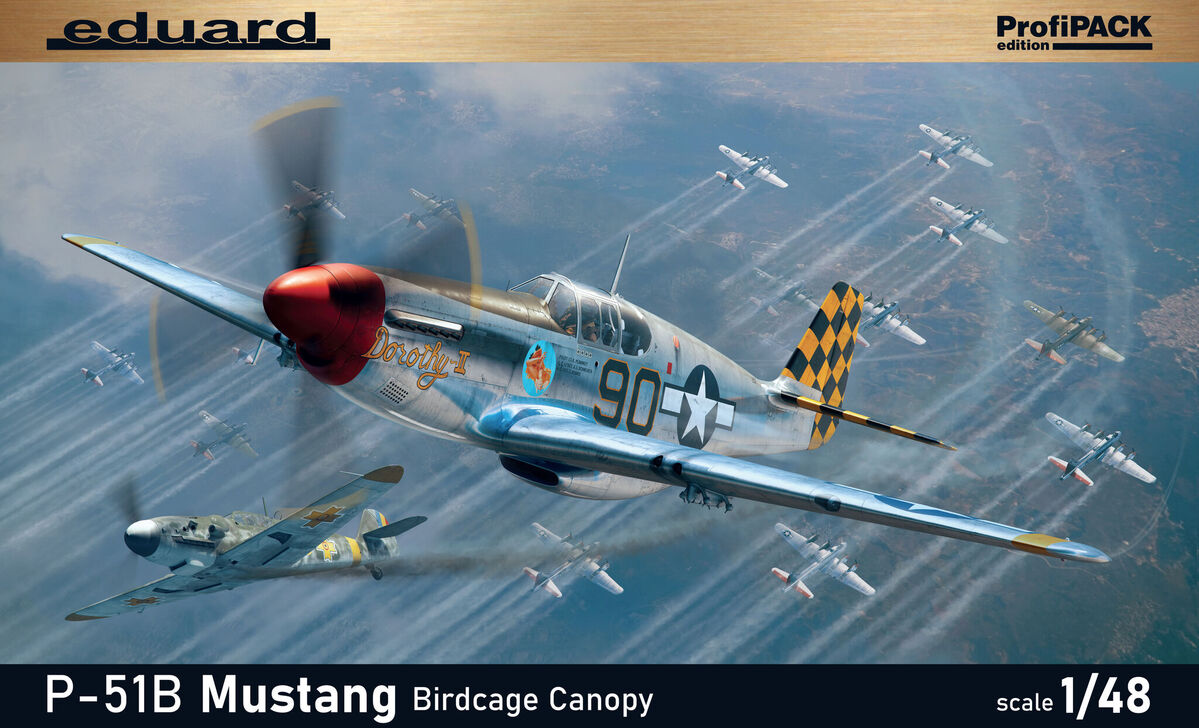 未使用 P-51D MUSTANG M24 バックヤードフライヤーシリーズ P-51D