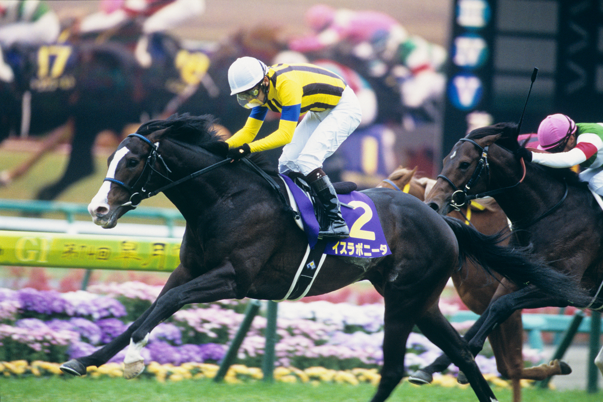 第75回 皐月賞 過去10年の傾向(データ)｜GⅠ特集｜競馬情報ならJRA-VAN