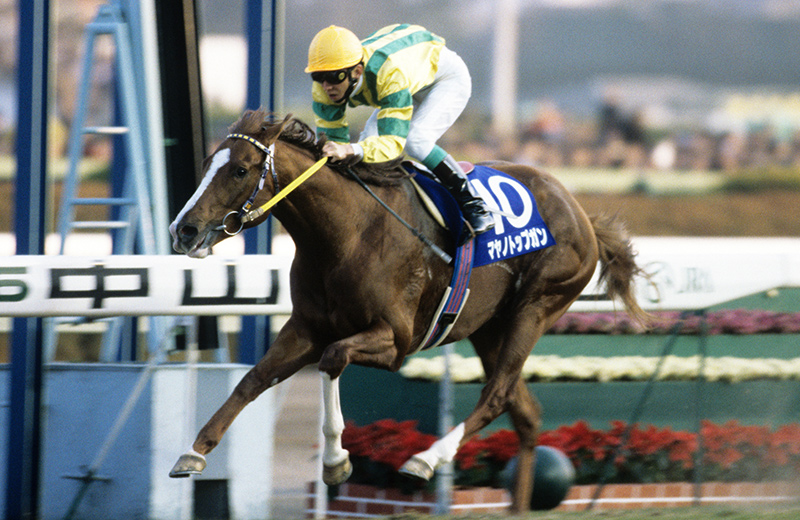 マヤノトップガン｜名馬メモリアル｜競馬情報ならJRA-VAN
